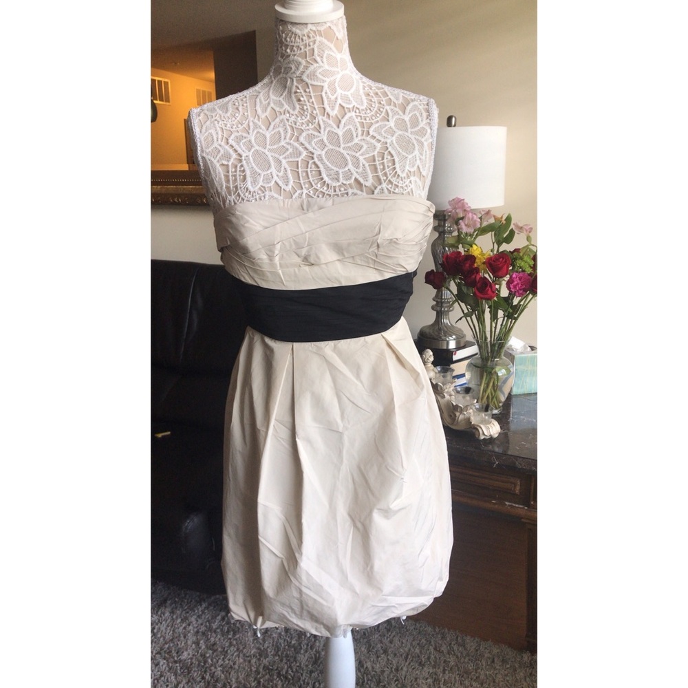 BCBG MAXAZRIA Off-White & Black Strapless Dress